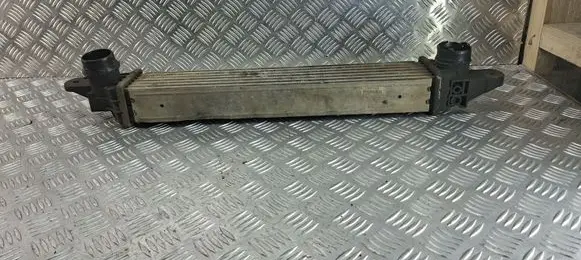 Opel Meriva A Intercooler radiator 52414109