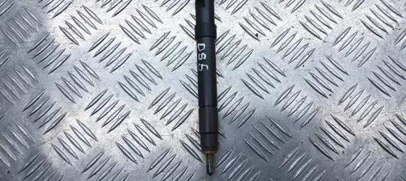 Citroen DS5 Fuel injector 9686191080