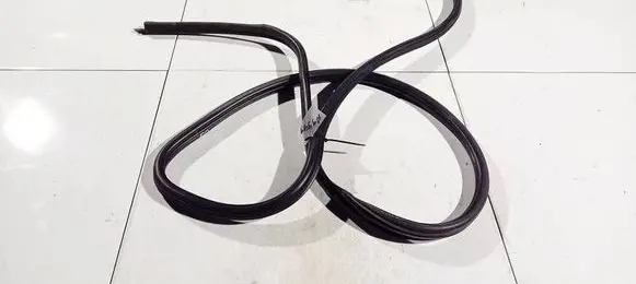 BMW 1 E81 E87 Rubber seal front coupe door 