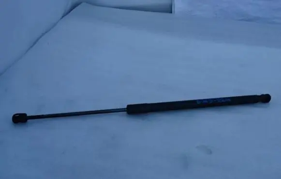 Tailgate strut