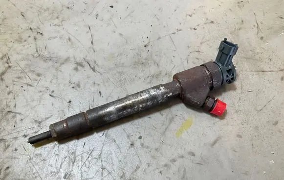 Peugeot Partner III Fuel injector 0445110955
