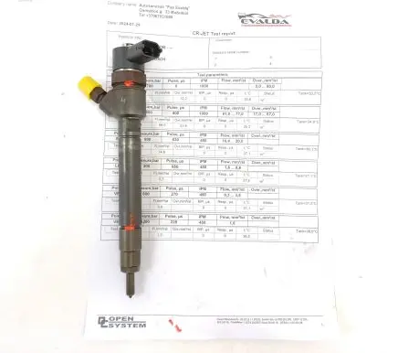 Volvo V70 Fuel injector 0445110298