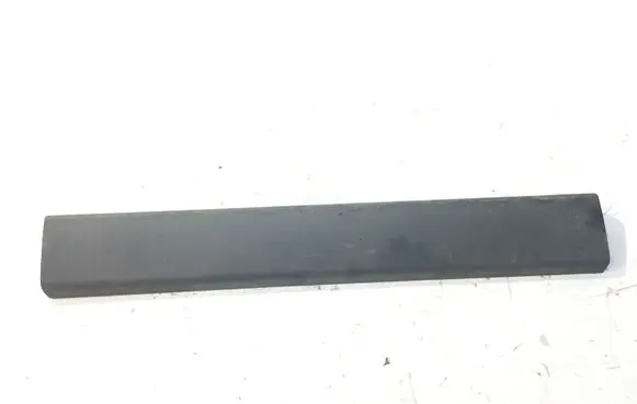 Rear door trim (molding)