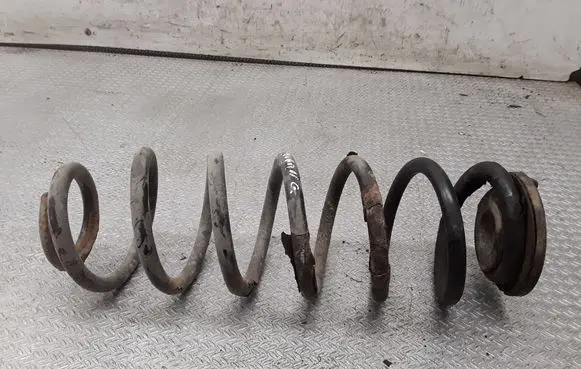 Rear coil spring