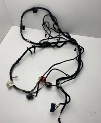 Other wiring loom