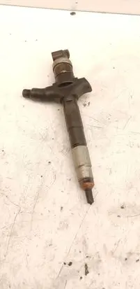 Opel Signum Fuel injector 0800 06G01799