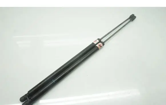 Ford C-MAX II Tailgate/trunk strut/damper AM51-U406A10-AC
