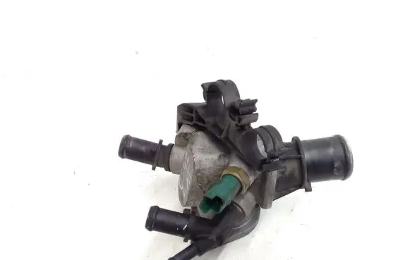 Thermostat/thermostat housing