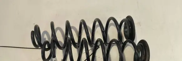 Rear coil spring