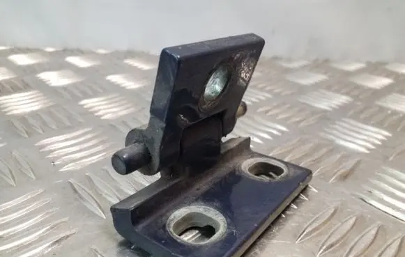 Volvo S60 Rear door lower hinge