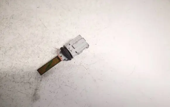 Interior temperature sensor