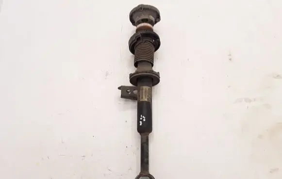 BMW 5 GT F07 Front shock absorber/damper 6795446