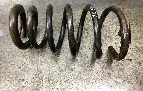 Rear coil spring