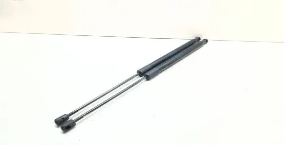Tailgate/trunk strut/damper