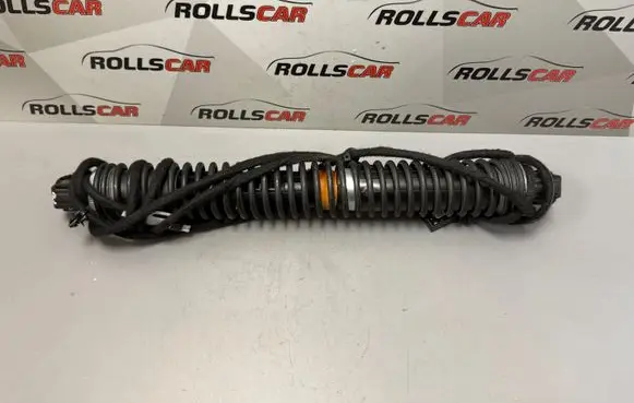 Tailgate/trunk strut/damper