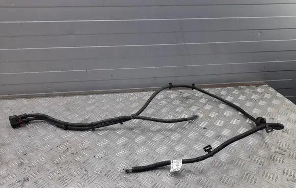 Audi Q5 SQ5 Other wiring loom 8R1971111
