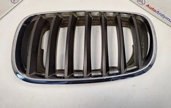 BMW X5 E70 Front grill 51137171395 51137157687