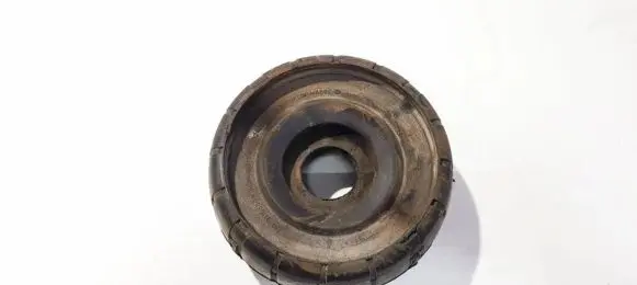 Coil spring mount