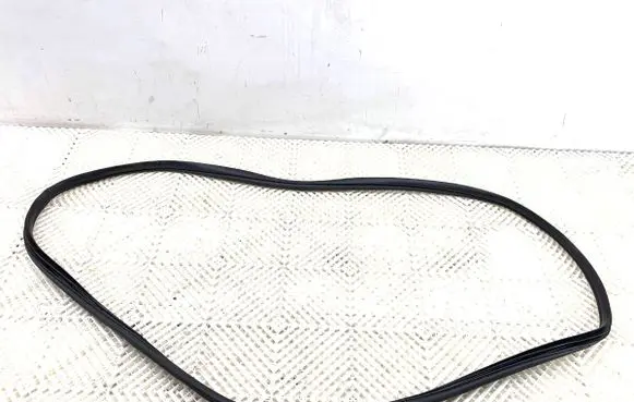 Hyundai Kona II Rubber seal front door (on door) 
