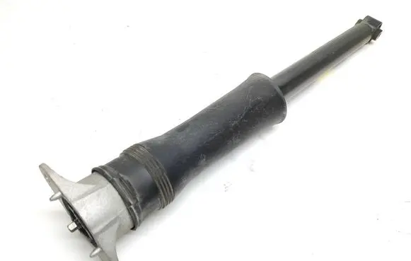 Buick Encore GX I Rear shock absorber/damper 60005110