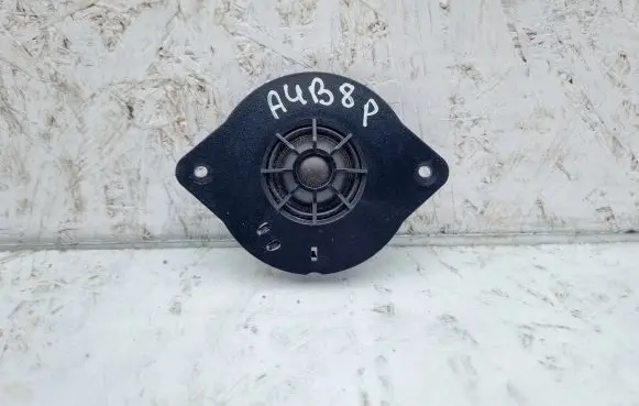 Panel speaker