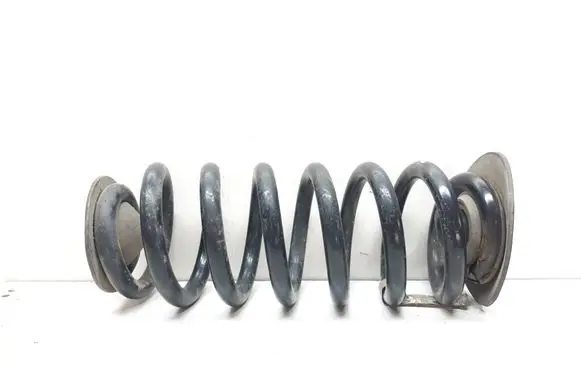 Rear coil spring