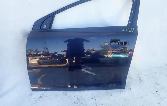 Volvo V40 Front door