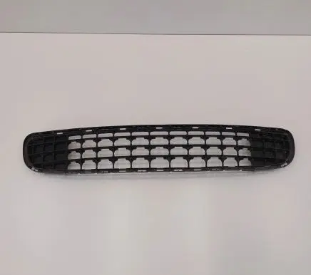 Mini Cooper Countryman R60 Front bumper lower grill 114600