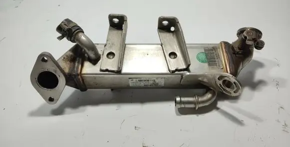 Nissan Qashqai EGR valve cooler 8200719993 L0281006 H8200620695