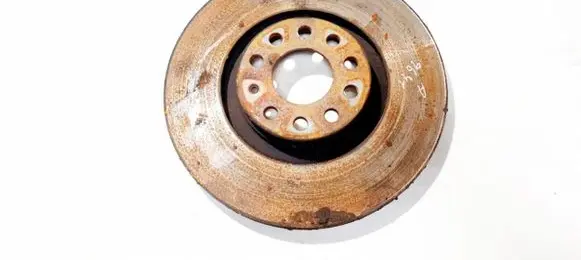 Audi A4 S4 B7 8E 8H Front brake disc ventiliuojamas