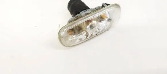 Front fender indicator light