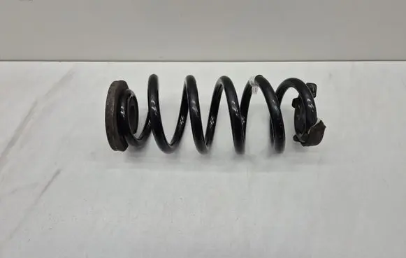 Volkswagen ID.3 Rear coil spring 1EA511103C