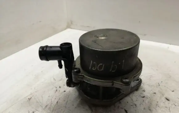 Renault Trafic II (X83) Vacuum pump 8200072985