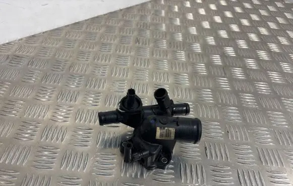 Thermostat/thermostat housing