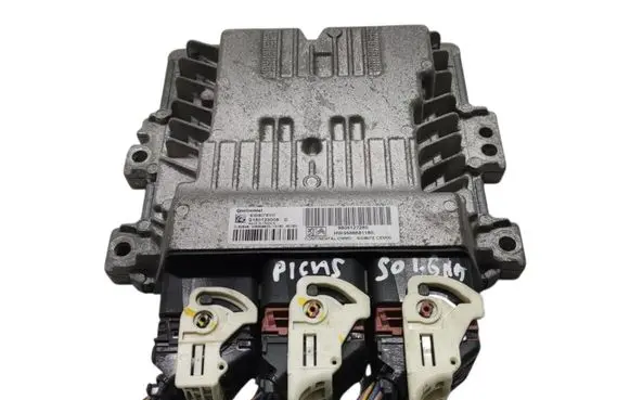 Engine control unit/module ECU