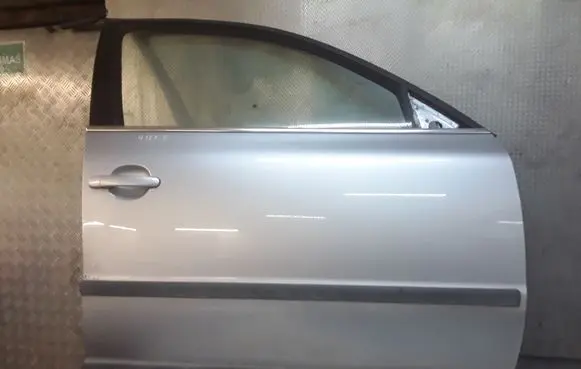 Volkswagen PASSAT B5.5 Front door