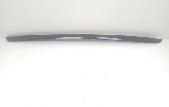 Windshield trim