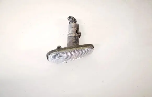 Front fender indicator light
