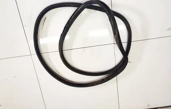 Volkswagen PASSAT B5 Rubber seal front coupe door 