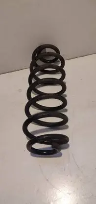 Volkswagen PASSAT B7 Rear coil spring