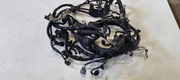 Ford Focus Engine installation wiring loom F1FT14A280DAF