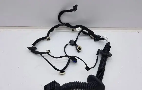 Front door wiring loom