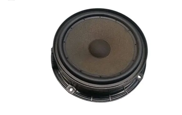 Rear door speaker