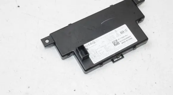 Tesla Model Y Door central lock control unit/module 110024100J
