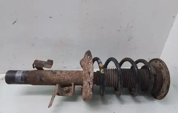 Ford S-MAX Front shock absorber with coil spring