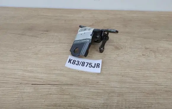 Renault Kadjar Front door upper hinge 804003541R