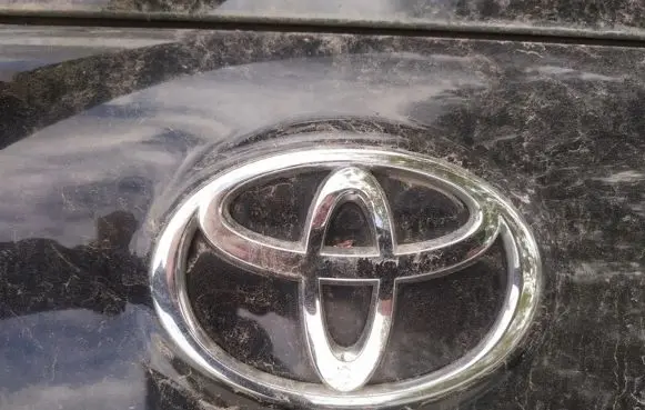Manufacturer badge logo/emblem
