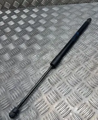 Tailgate/trunk strut/damper