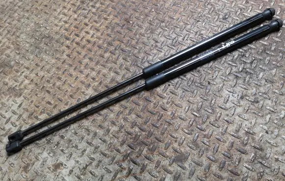 Tailgate strut