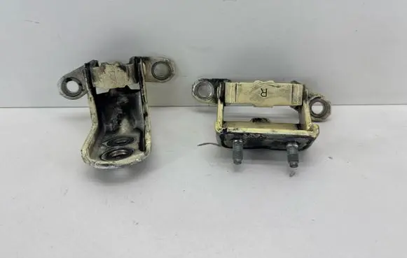 Nissan Leaf II (ZE1) Rear door hinge set 